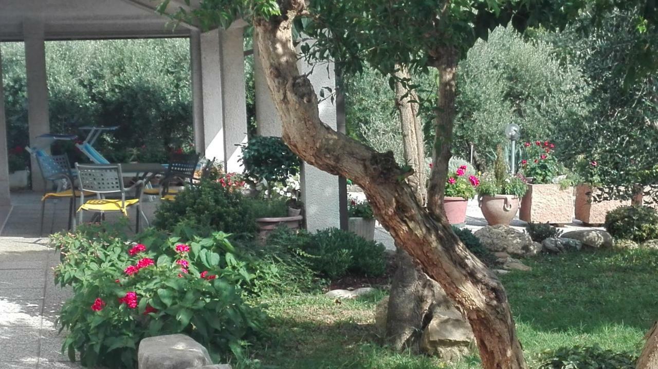 B&B Ripalta Sogliano al Rubicone Eksteriør billede