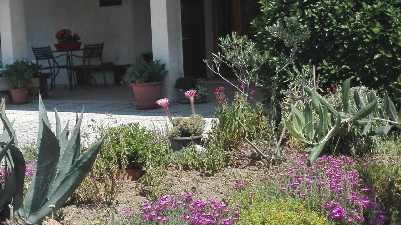 B&B Ripalta Sogliano al Rubicone Eksteriør billede