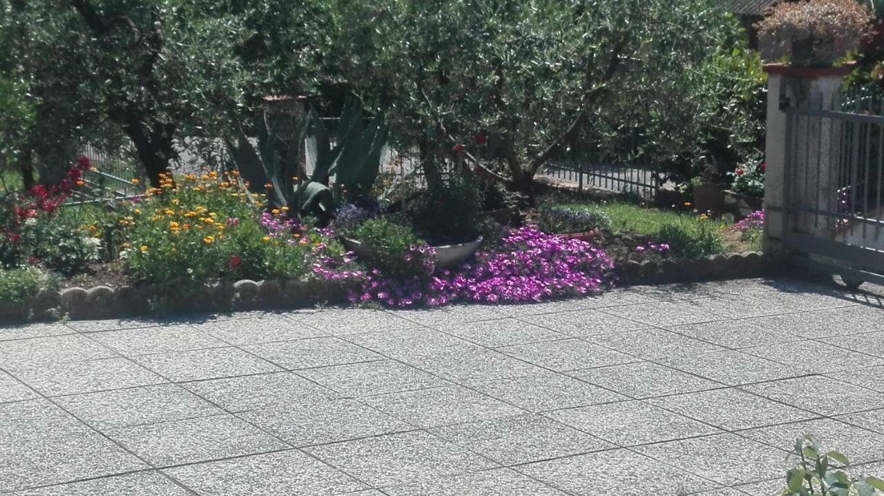 B&B Ripalta Sogliano al Rubicone Eksteriør billede