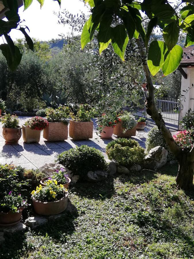 B&B Ripalta Sogliano al Rubicone Eksteriør billede